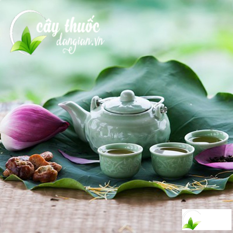 Công dụng thần thánh từ trà lá sen có thể bạn chưa biết?