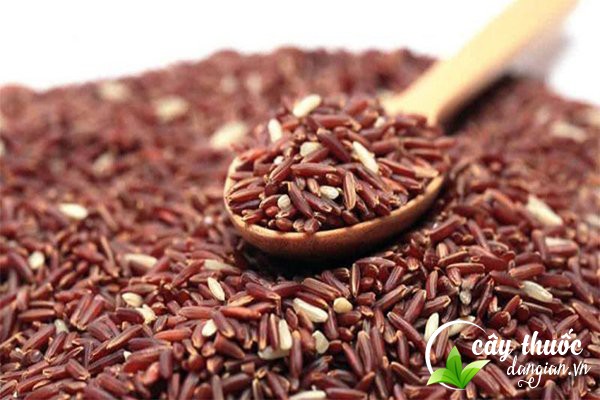 Gạo lứt hay còn gọi là gạo lật là một loại ngũ cốc nguyên hạt có nhiều giá trị dinh dưỡng.