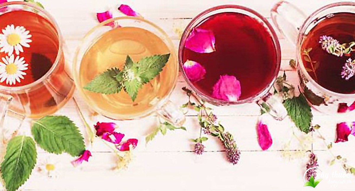 Hình ảnh về trà hoa