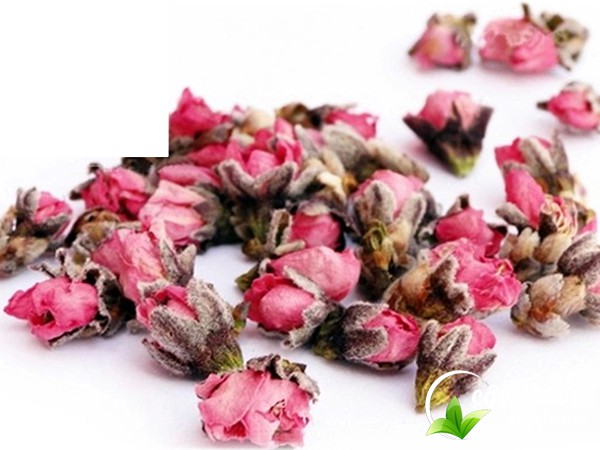 Cây thuốc dân gian bán trà hoa đào chất lượng giá rẻ nhất thị trường