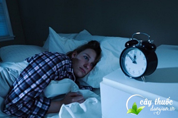 Lạc tiên được biết đến có nhiều công dụng trong việc chữa chứng mất ngủ kinh niên