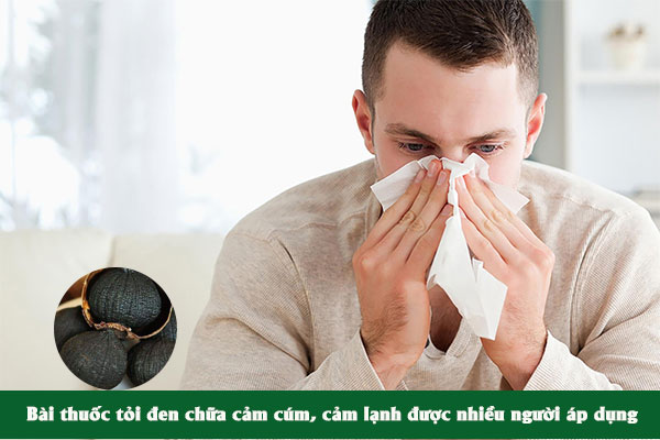 Bài thuốc tỏi đen trị cảm cúm, cảm lạnh được nhiều người bệnh áp dụng.