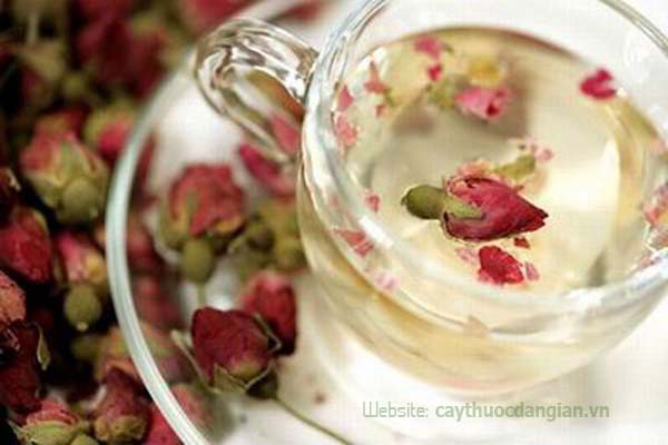 Tác dụng của trà hoa hồng trong cuộc sống