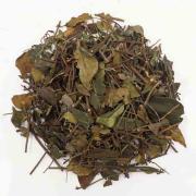 Chè vằng: có tác dụng gì với phụ nữ sau sinh và cây chè vằng bao nhiêu tiền 1kg