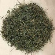 Giảo cổ lam: hỗ trợ điều trị bệnh tiểu đường, giảm cân và bao nhiêu tiền 1kg
