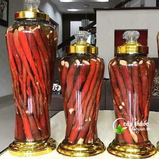 cách ngâm rượu sâm cau